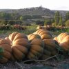 Le Luberon en quelques images