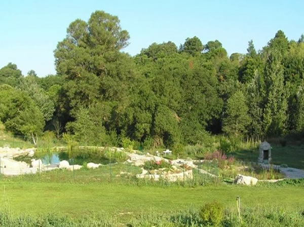 Il y a un bassin de natation et un bassin de régénération