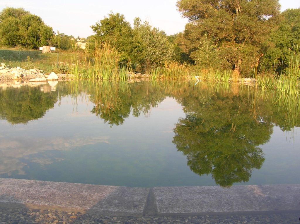 Le bassin de natation est grand: environ 10m sur 6