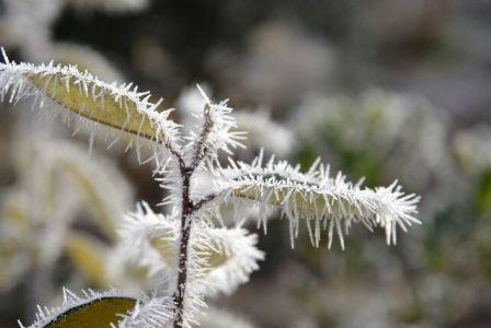 givre